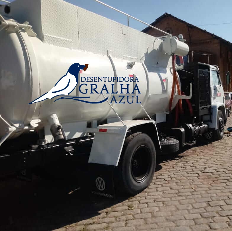 gralhaazul1